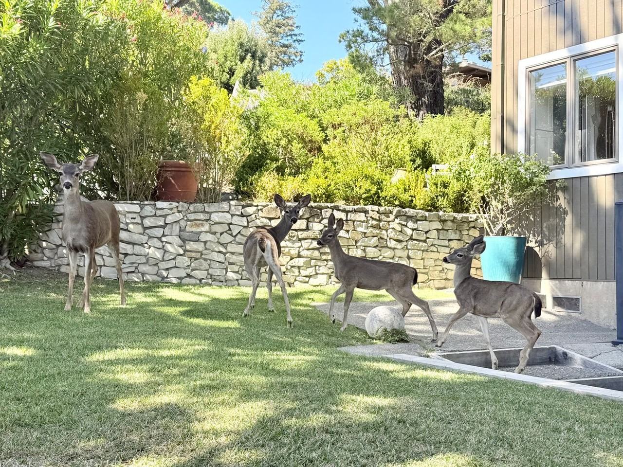 201A Cleveland Ct - Photo 3 of 30