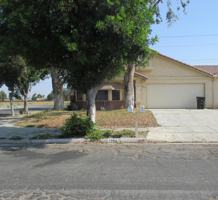 featured image of 1984 Nuevo St