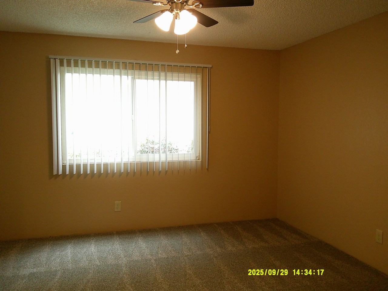 Irish Hills Hamlet Apartments - Photo 4 of 6