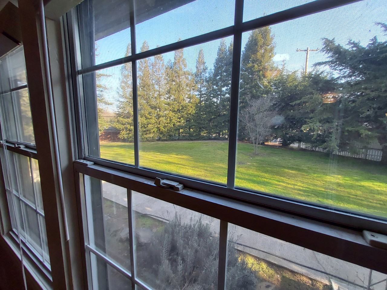 6124 Van Alstine Ave Apt A #NA - Photo 3 of 16