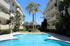 29641 South Western Avenue - Photo 1 of 1