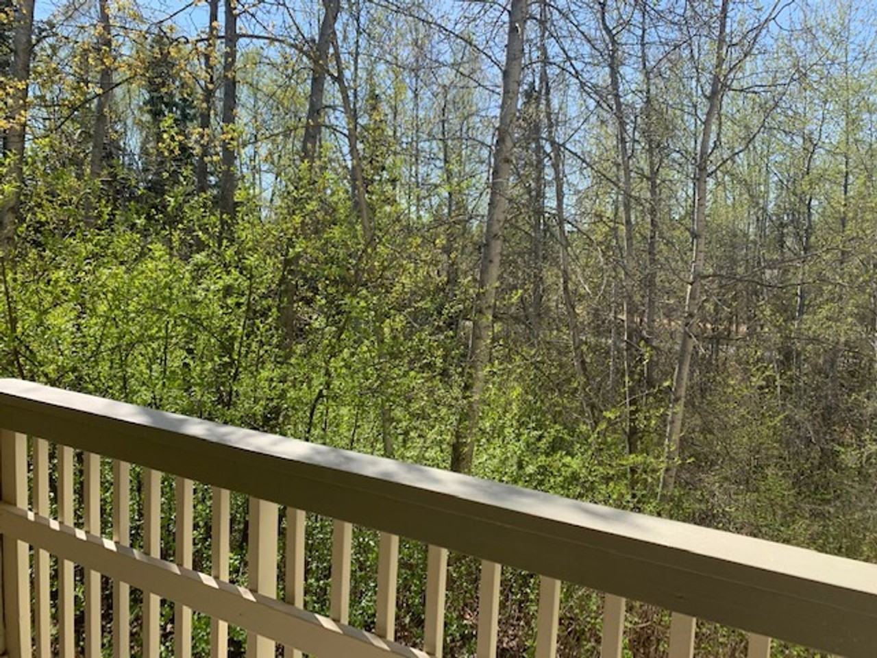 2644 Forest Park Dr #109 - Photo 6 of 19