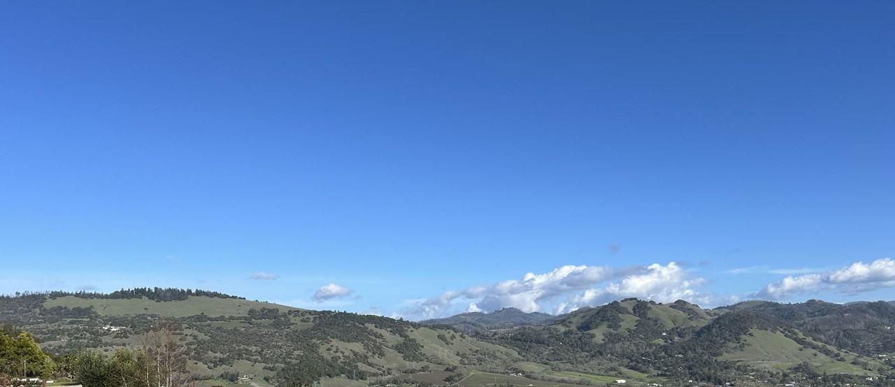 3904 Park Gardens Dr - Photo 3 of 35