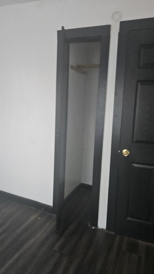 Crane - Photo 6 of 19