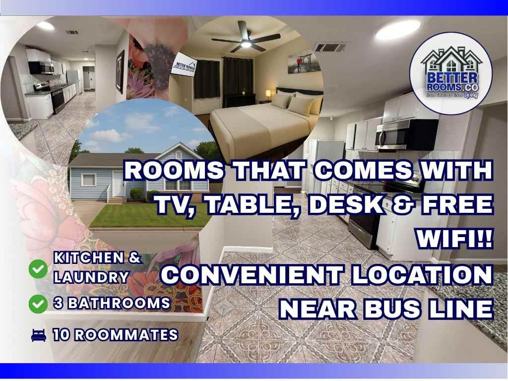 Lotus Street - Photo 2 of 8