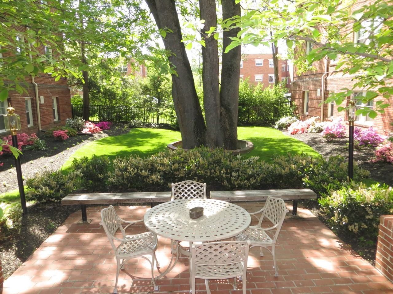 Manor House - Photo 6 of 8