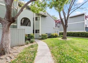 3443 Pepperwood Ter ##101 - Photo 1 of 1
