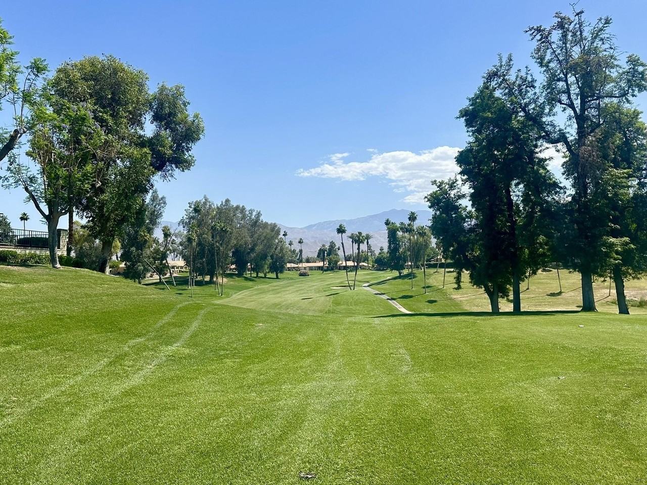 291 Serena Drive - Photo 4 of 19