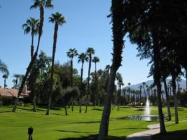 featured image of 144 Las Lomas