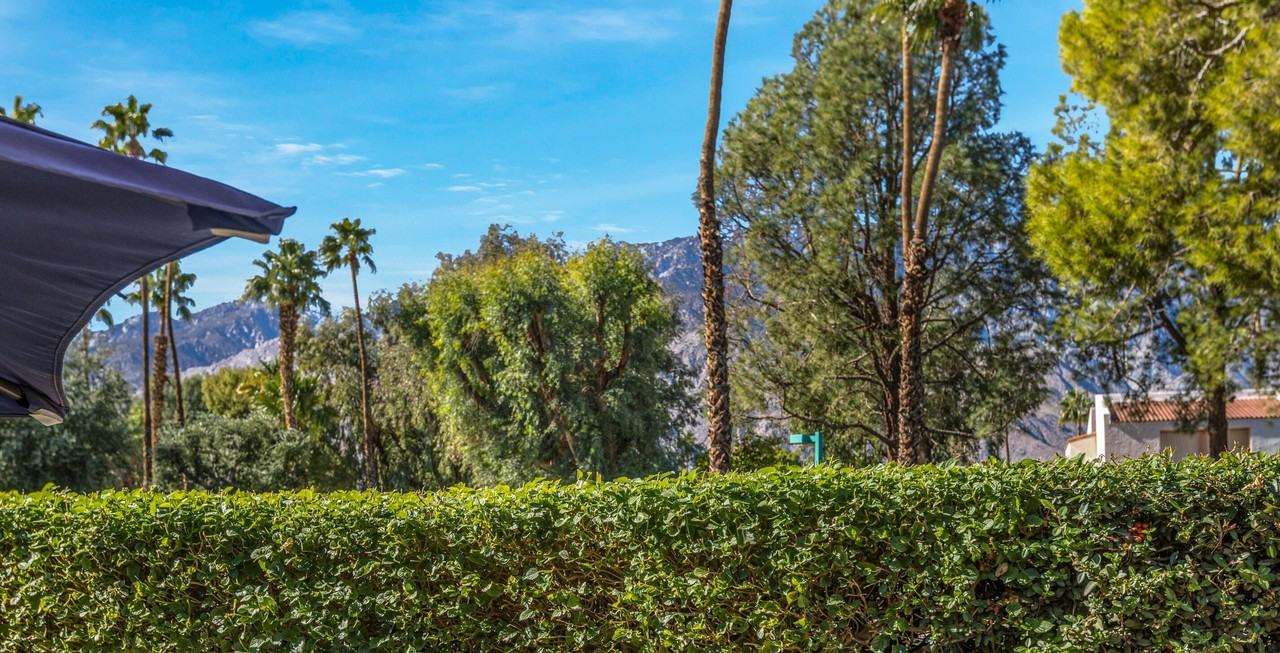 2522 North Whitewater Club Drive #C - Photo 6 of 38