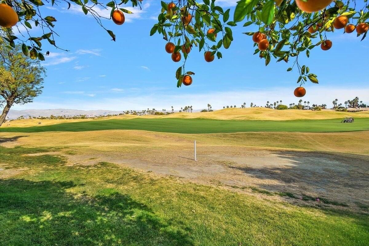 54838 Oak Tree - Photo 5 of 39