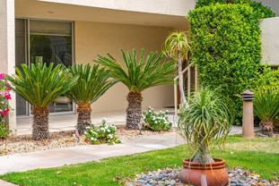 477 Desert Lakes Drive - Photo 1 of 1