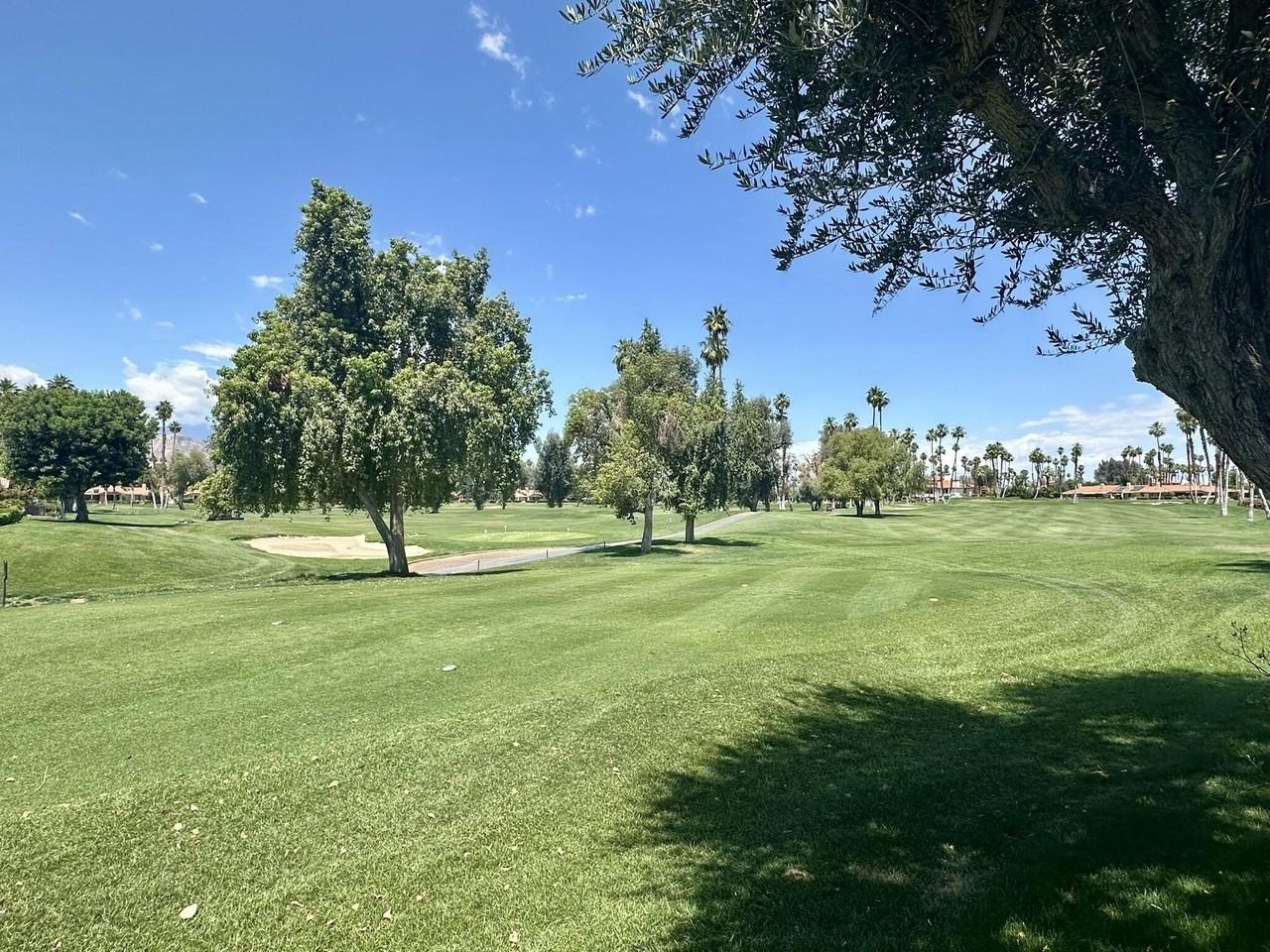 347 Gran Via - Photo 5 of 16