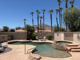 featured image of 79765 Tangelo