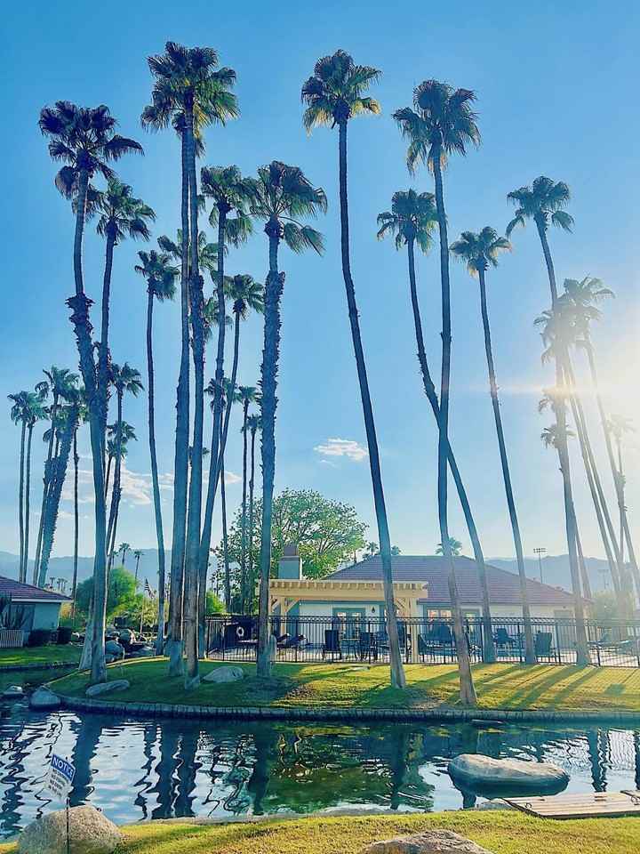 43376 Cook Street #87