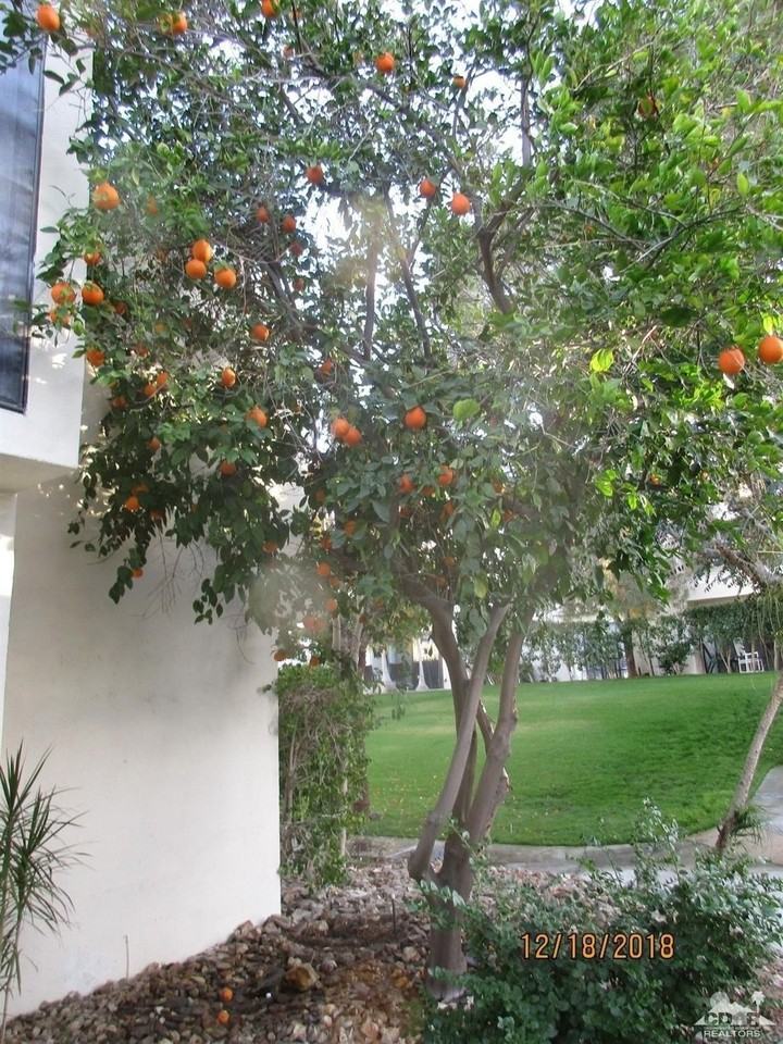 48728 Desert Flower Drive - Photo 3 of 50