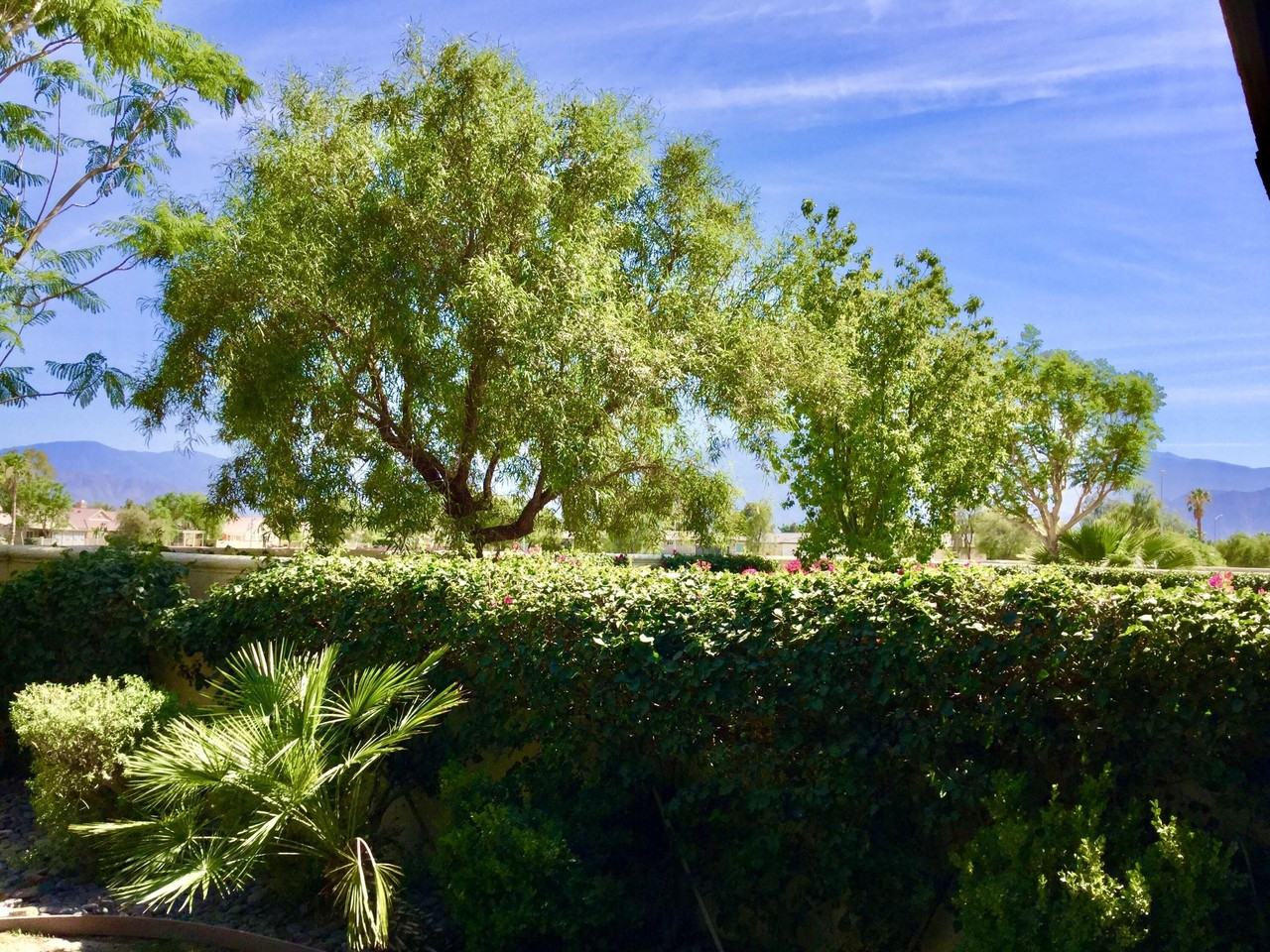 82775 Burnette Dr - Photo 4 of 25