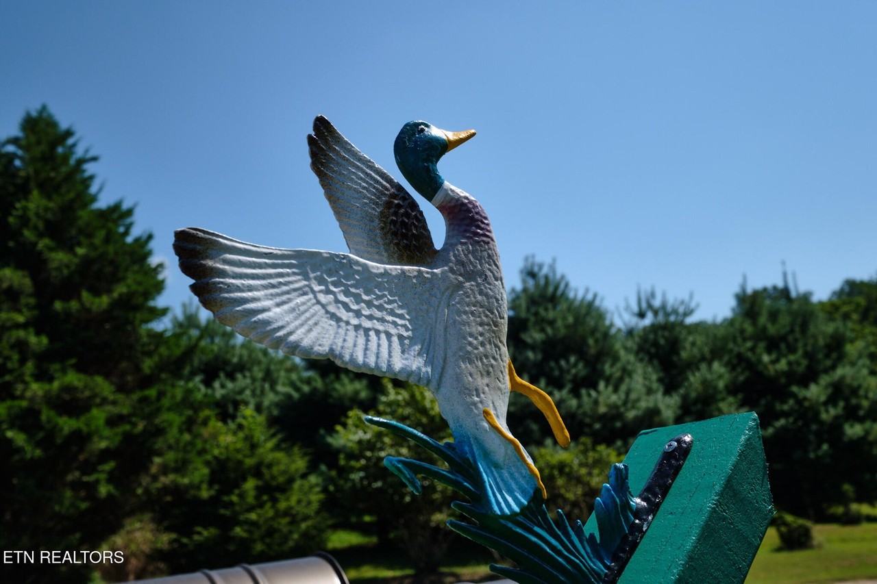 399 Texas Ln - Photo 2 of 50