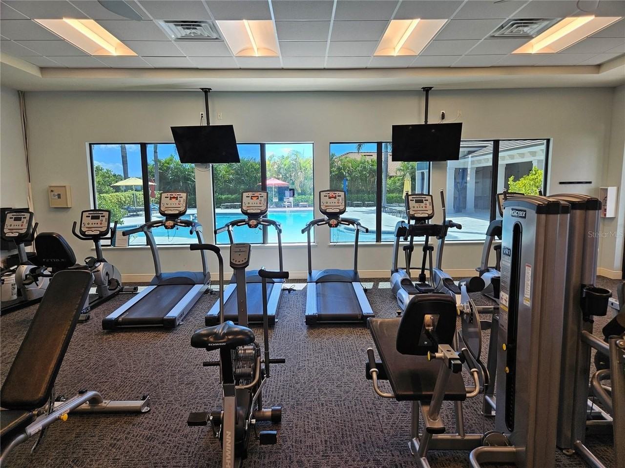 9839 Haze Drive - Photo 4 of 48