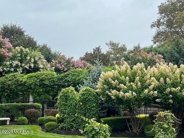 892 892 Elberon Avenue unit: Studio - Photo 2 of 24