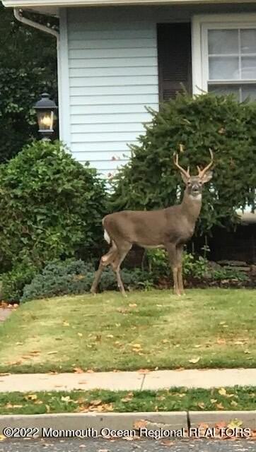 209 Perrine Ave - Photo 7 of 17