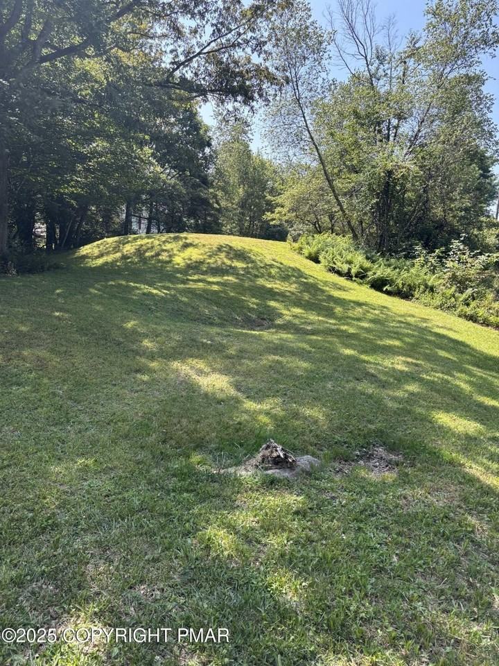 1360 Clover Rd - Photo 4 of 30