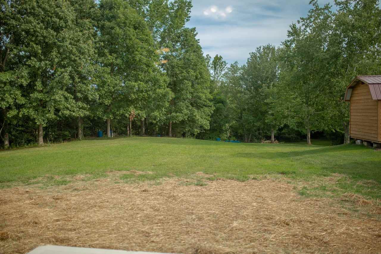 315 White Oak Dr - Photo 7 of 32