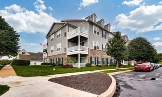 featured image of 310 Honeysuckle Dr