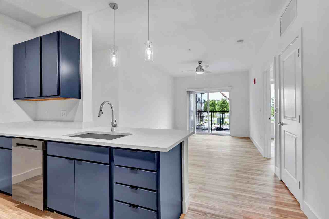 The Oasis - Photo 2 of 50