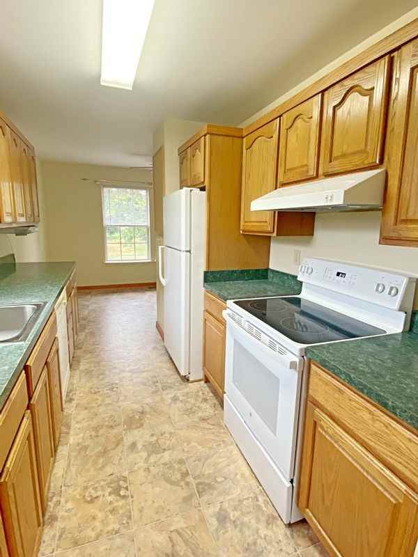 29411 Petunia Dr - Photo 3 of 13