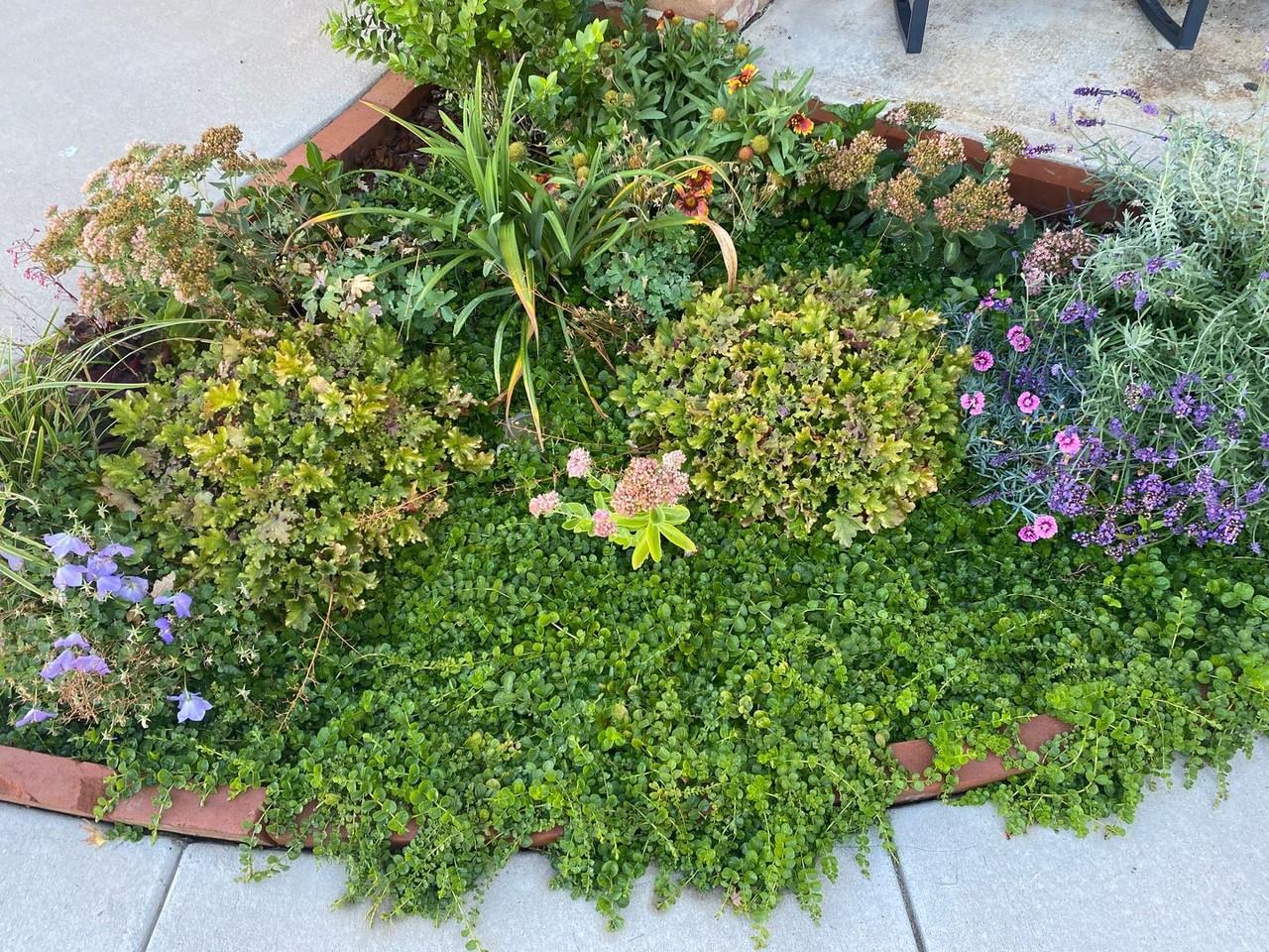 4520 Field St - Photo 2 of 16