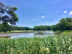 2728 Windship Pt - Photo 1 of 1