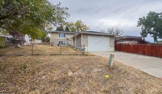 1204 Wagonhammer - Photo 1 of 1
