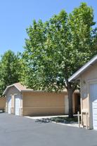 Desert Meadows - Photo 1 of 1