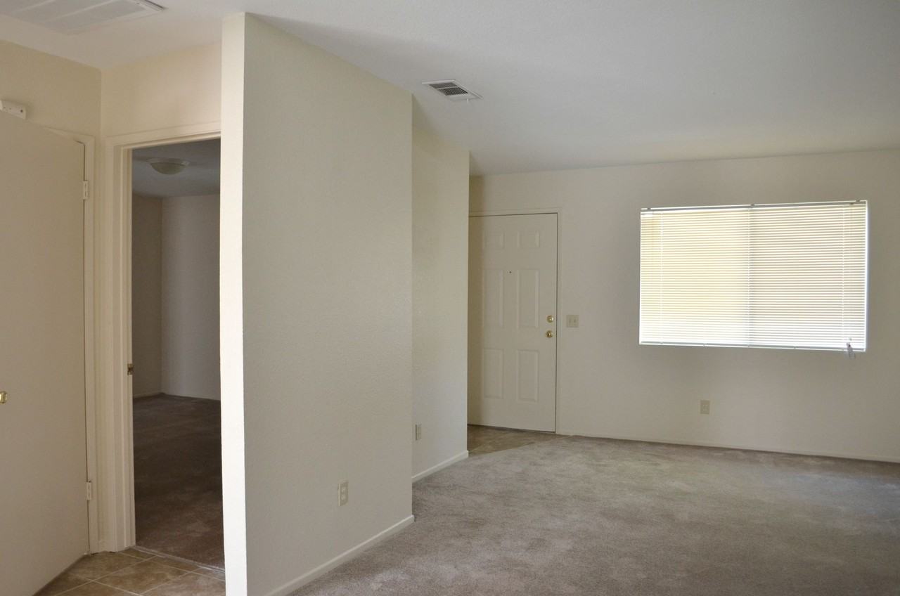 Desert Meadows - Photo 4 of 12