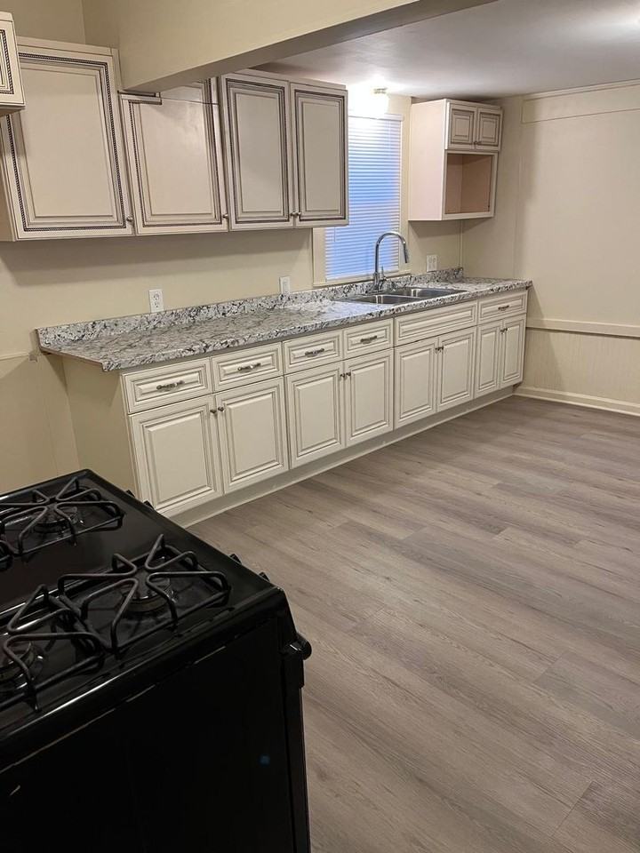 40553 Orosi Dr - Photo 3 of 11