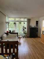 featured image of Nicola St & Harwood St