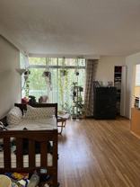 Nicola St & Harwood St - Photo 1 of 1