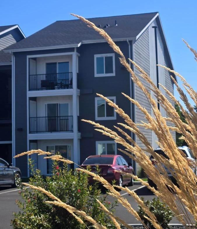 2210 Isaacs Ave - Photo 5 of 35