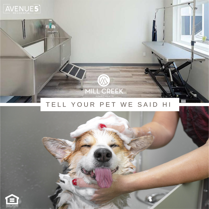 2210 Isaacs Ave - Photo 5 of 35