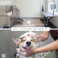 featured image of 2210 Isaacs Avenue