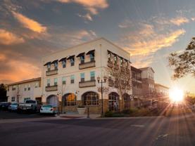 The Mark Camarillo - Photo 1 of 1