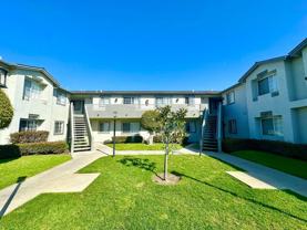 Nelson Apartments (Silver Tree Terrace) - Photo 1 of 1