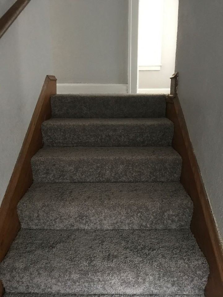 3325 Askew Ave - Photo 7 of 12