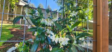 featured image of 11050 Sw Gaarde St