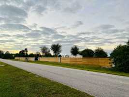 featured image of 175 Bald Cypress Ave