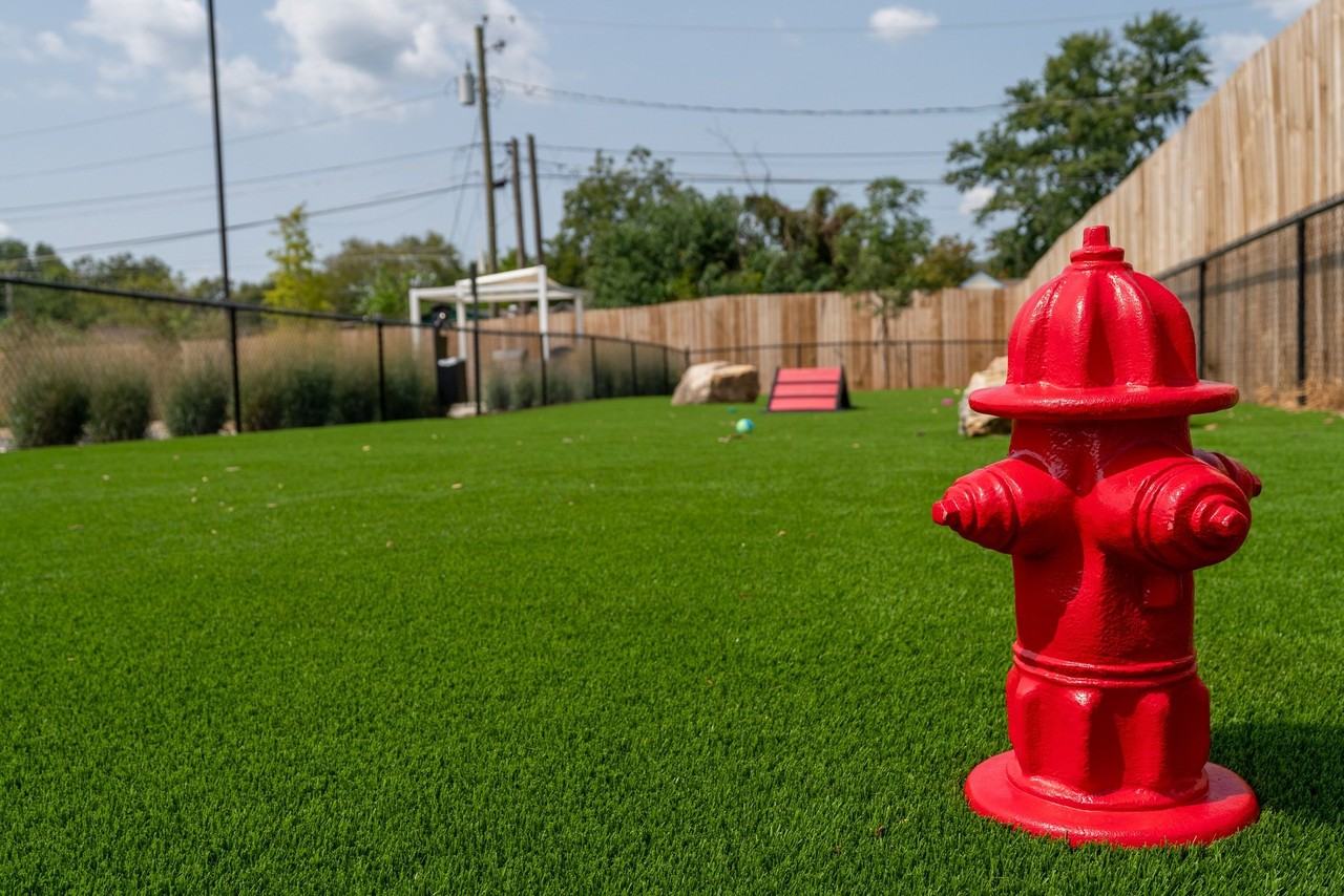 The Gallery - Photo 4 of 10