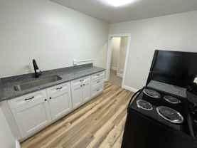 203 Chemung St - Photo 1 of 1