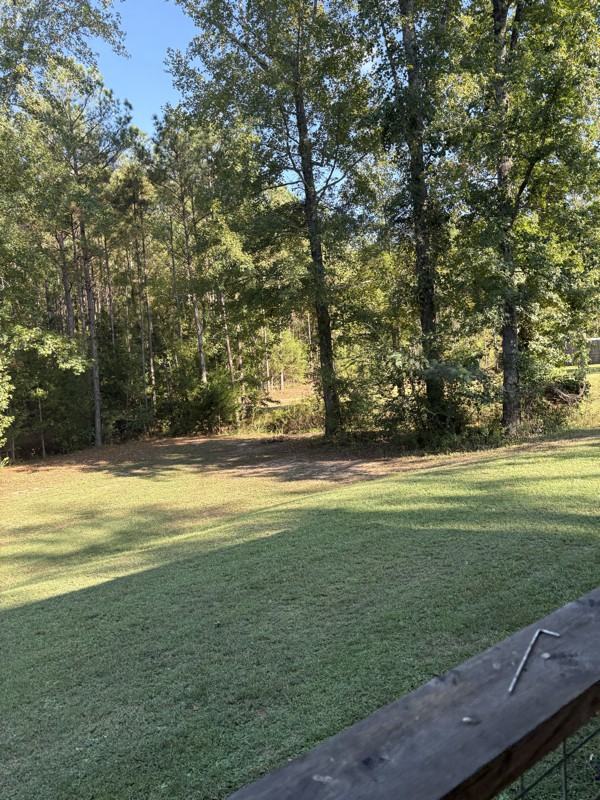 14285 Al Highway - Photo 3 of 9