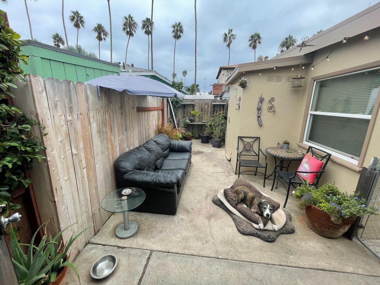 5133 W Point Loma Blvd - Photo 7 of 16